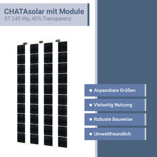 CHATAsolar mit Module ST 245 Wp, 40% Transparenz